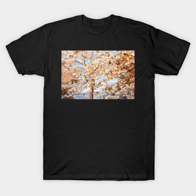 Ethereal T-Shirt by Debra Cox 